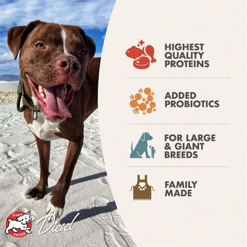 Miniatura 3 de Fromm Heartland Gold - Alimento seco para perros adultos de razas grandes y gigantes, receta de carne de res, 12 libras