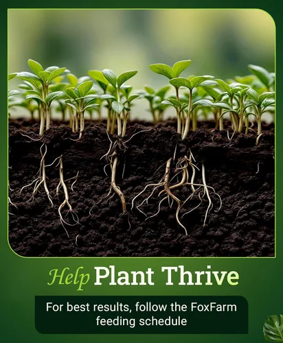 Miniatura 4 de FoxFarm Bushdoctor Kangaroots - Líquido para remojar raíces - Inoculante de raíces para desarrollar masa radicular, lleno de microbios y nutrientes