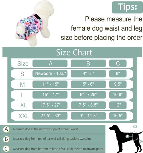 Miniatura 86 de Pañales lavables para perros, para hembras caninas, reutilizables, para periodo de celo, altamente absorbentes, para incontinencia, con broches