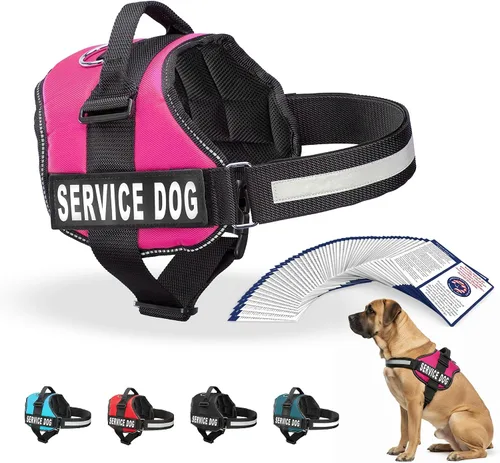 Miniatura 22 de Arnés Industrial Puppy para perros con correas y asa, y chaleco con parche reflectante, en un cómodo diseño de malla, Bright Red 2-Rojo Brillante