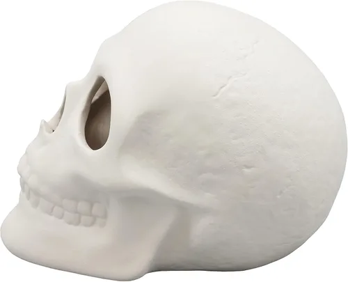 Miniatura 7 de Creative Hobbies Bisque de cerámica listo para pintar, calavera de 5 pulgadas de largo x 4 pulgadas de alto, incluye cómo pintar tu propio folleto