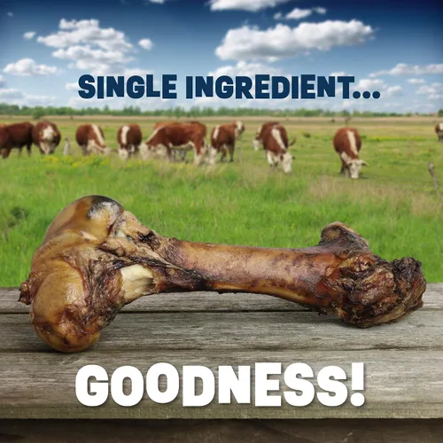 Miniatura 2 de Huesos de perro para masticadores agresivos Hueso de fémur de carne de res con sabor ahumado de nogal de 12 a 14 pulgadas Golosinas de hueso