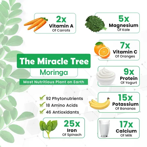 Miniatura 7 de Well-Being MORA Moringa Oleifera Cápsulas – Energía, articulaciones, piel e inmunidad – Superalimento verde – Vegano, sin gluten, multivitamínico