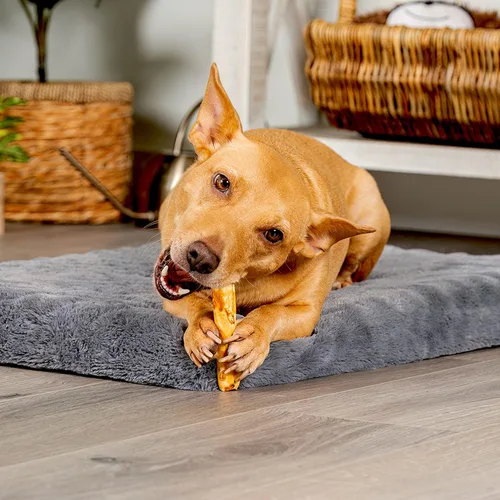 Miniatura 2 de Pet Factory American Beefhide - Rollos de chips de 5 pulgadas para perros, sabor a pollo, 8 unidades/1 paquete
