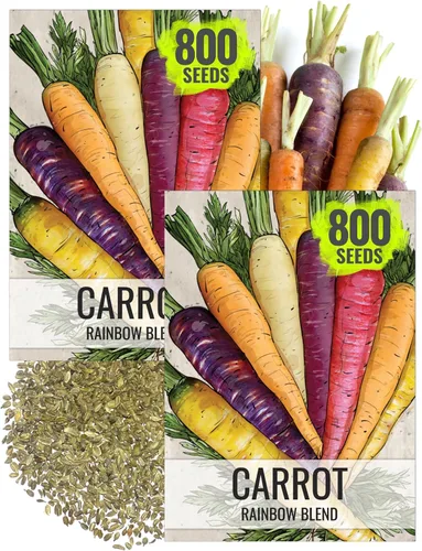 Seed Needs Semillas de zanahoria arcoíris para plantar zanahorias multicolores, herencia sin OMG y semillas de vegetales sin tratar para cultivar un