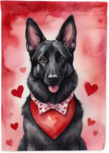 Miniatura 196 de Caroline's Treasures DAC5292CHF - Bandera de Border Collie My Valentine House para porche, grande, con manga para porche, para colgar en la pared