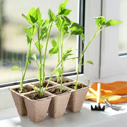 Miniatura 6 de Doter 10 paquetes de bandejas de inicio de plántulas, 120 celdas, bandejas de germinación de semillas biodegradables, macetas de turba para plantas