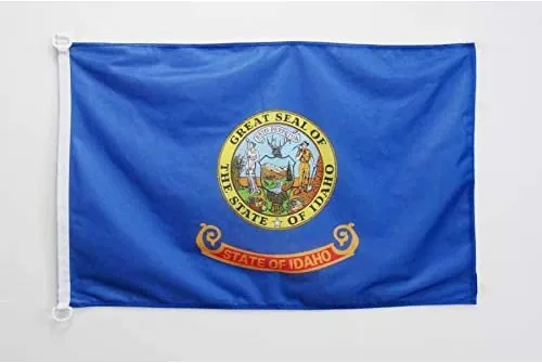 Miniatura 73 de Bandera náutica del Capitán Morgan Pirata 18'' x 12'' – Calavera Piratas banderas 11.8 x 17.7 in – Banner 12x18 in para barco – AZ FLAG