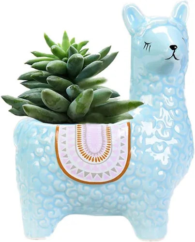 Miniatura 6 de Lindas macetas suculentas de alpaca maceta de cerámica pequeña cactus maceta azul