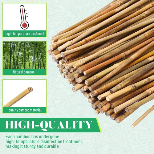 Miniatura 3 de Suclain Juego de 100 estacas de bambú para plantas trepadoras, estacas de bambú resistentes para plantas trepadoras, tomates, frijoles, flores