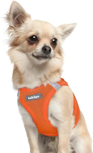 Miniatura 24 de rabbitgoo Arnés para perro pequeño, chaleco de malla suave para cachorros con hebilla de seguridad, arnés reflectante transpirable para mascotas