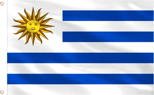 Miniatura 56 de AhfuLife Bandera argentina de 3 x 5 pies, grandes banderas nacionales argentinas para exteriores, doble cara con ojales de latón para decoraciones