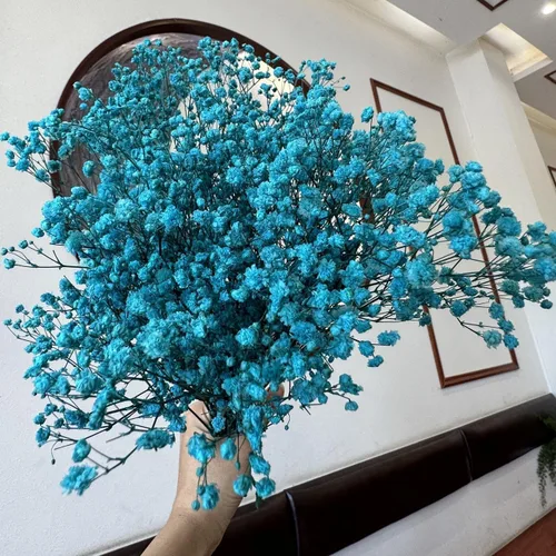 Miniatura 6 de Flores secas para el aliento del bebé, flores naturales secas de 17 pulgadas, a granel con 3000 brotes, gypsophila seca real para bodas, fiestas