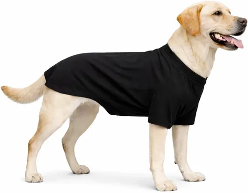 Miniatura 53 de Lovelonglong 2019 - Ropa para mascotas, Disfraces para Perro, Ropa Camisetas en blanco para Perros Grande Medianos Pequeños 100% Algodón 18