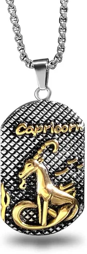 Bahamut - Collar con colgante de etiqueta de perro con signo del zodiaco de 12 constelaciones para hombres, mujeres y niños, joyería vintage de