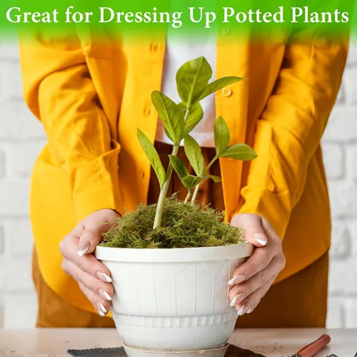 Miniatura 7 de Halatool Musgo de bosque verde de 1.1 libras, musgo esfagnum natural de 25 cuartos para plantas, musgo de orquídea esponjoso para trasplante