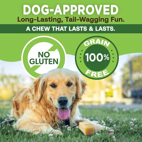 Miniatura 5 de EcoKind Premium Gold Yak Cheese - Masticables para perros del Himalaya, golosinas saludables para perros de todas las razas y tamaños, todo natural