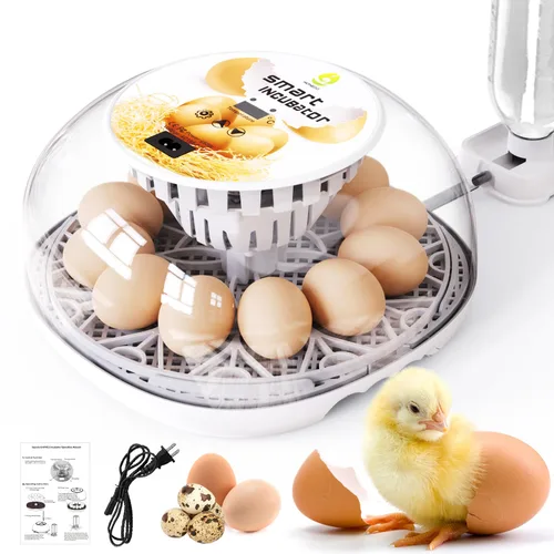 Incubadoras para incubar huevos de codorniz, 12 huevos con giro automático de huevos y control de humedad, visualización de 360° para pollo, patos,