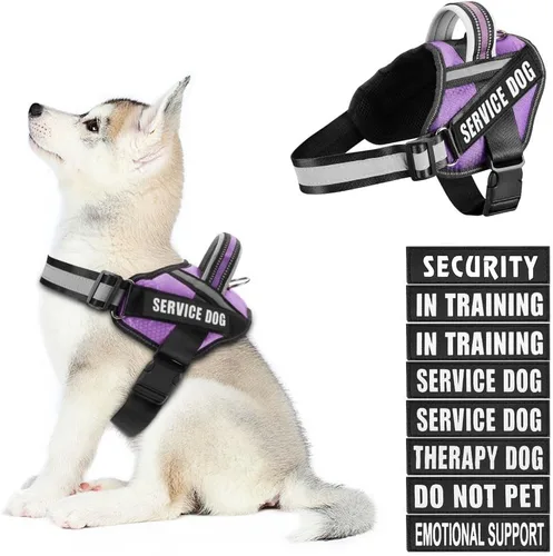 Miniatura 40 de Juego de arnés y parches para chaleco de perro, arnés para perro de servicio en entrenamiento Animire con 10 parches para perros, chaleco Rosa