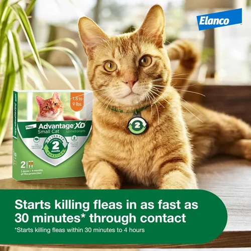 Miniatura 6 de Advantage XD - Prevención y tratamiento de pulgas para gatos pequeños 1.8-9lbs. 4 dosis tópicas, 2 meses de protección por dosis