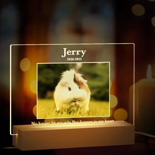 Miniatura 12 de Regalos conmemorativos personalizados para perros por pérdida de perro, regalos conmemorativos para mascotas para perros y gatos, placa fotográfica