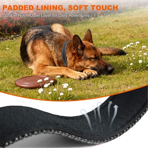 Miniatura 4 de Taglory Collar reflectante para perro con hebilla de bloqueo de seguridad, collares ajustables de nailon para mascotas para perros grandes, hembras