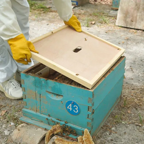 Miniatura 2 de Paquete de 4 cubiertas interiores de colmena de colmena de 10 marcos Langstroth Bee Hive cubierta interior para colmena apicultura aislamiento