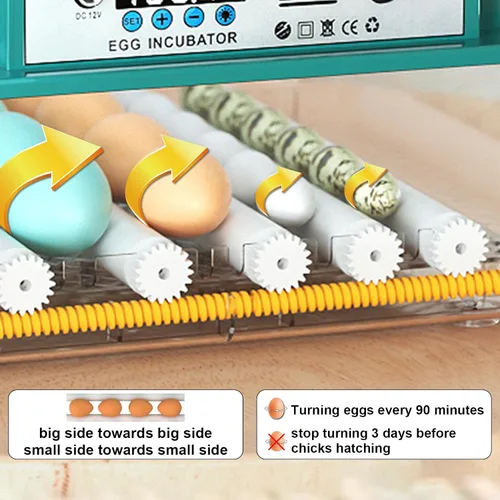 Miniatura 4 de Incubadoras para incubar 16 huevos, incubadora de huevos con giro automático de huevos y relleno de humedad, control de temperatura, incubadora