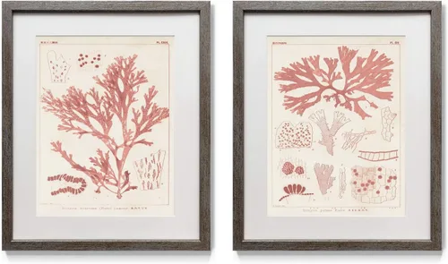 Miniatura 30 de Arte floral para pared, marco rústico de plata envejecida, juego de decoración de pared de 2 piezas: plumeria, caléndula, flores silvestres