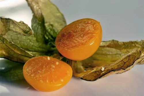 Miniatura 7 de Semillas Linterna China Señora Madonna Physalis Cabo Grosella Espinosa Naranja No GMO Heirloom