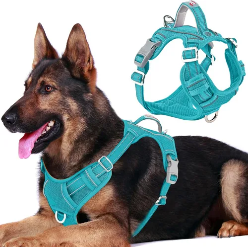 Miniatura 58 de BARKBAY Arnés para perro sin tirones con bolsillo para etiqueta de identificación, resistente, reflectante, fácil control para perros grandes