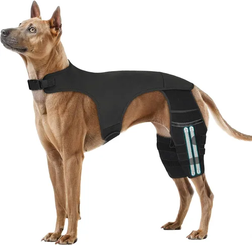 Miniatura 7 de Rodillera ajustable para perro para recuperación de desgarro y artritis del ligamento cruzado anterior - Soporte doble para patas traseras