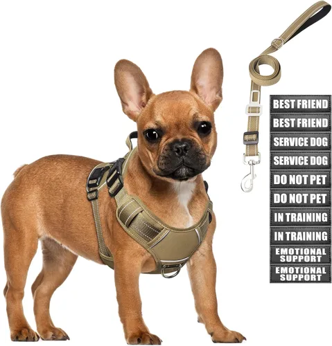 Miniatura 17 de Juego de arnés táctico para perros y correa para perros grandes, chaleco de perro de servicio resistente sin tirones y 10 parches con cinturón