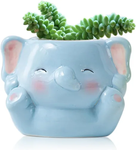 DIYOMR Bonita maceta de animales, mini maceta de cerámica con forma de animal de dibujos animados para suculentas, soporte para plantas de aire en