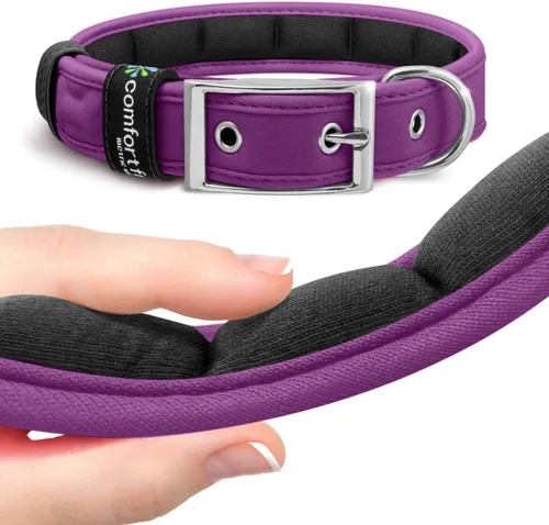 Comfort Fit Collar de perro – Collar de entrenamiento para perros acolchado suave con hebilla ajustable – Collar para mascotas transpirable y ligero