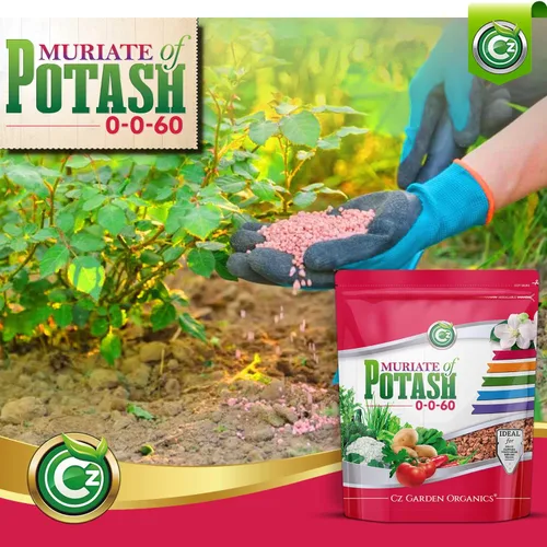 Miniatura 4 de Muriate de potasa 0-0-60 Fertilizante hecho en EE. UU. - MOP Alimento de potasio para plantas y jardines de flores – ¡Promueve grandes flores!