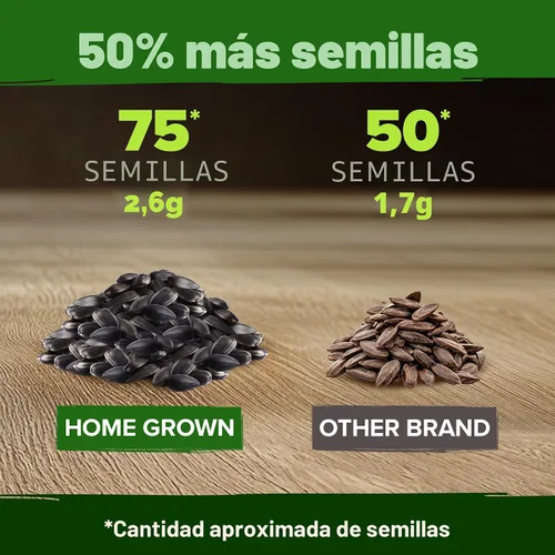 Miniatura 6 de HOME GROWN Semillas de girasol de cereza y chocolate, 75 semillas de reliquia para plantar girasoles burdeos, flor alta para jardín, polinizadores