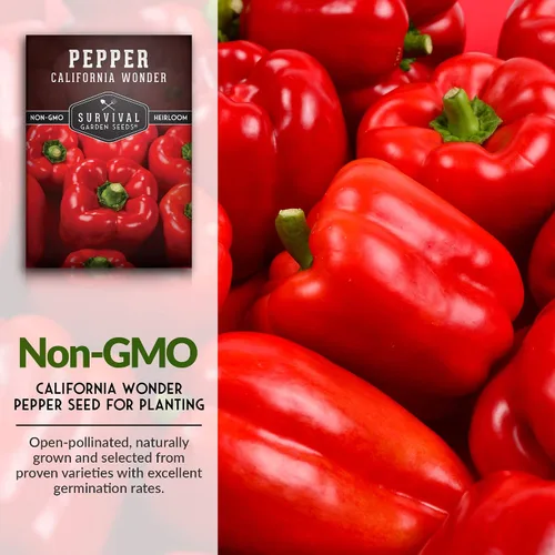 Miniatura 3 de California Wonder - Semillas de pimiento rojo para plantar Pimientos en bloque sin OMG para jardines domésticos – Semillas de jardín