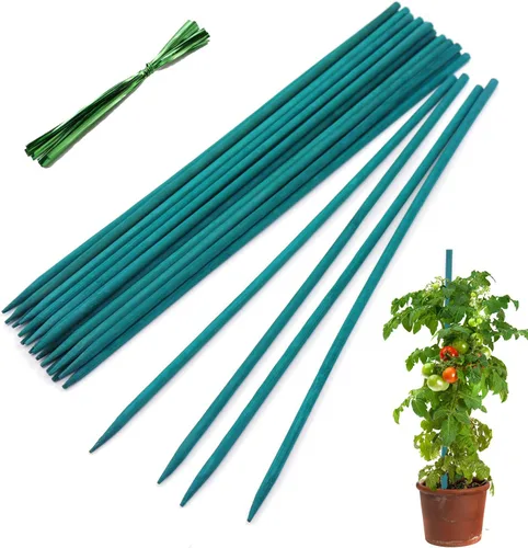 HAINANSTRY - Estacas de madera para plantas de jardín, palos de bambú verde, estacas resistentes de soporte para plantas florales de madera,