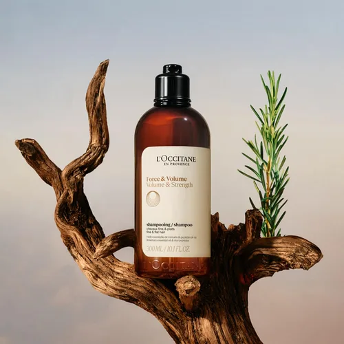 Miniatura 2 de L'OCCITANE Aromachologie Volumen & Strength Champú 16.90 fl. oz