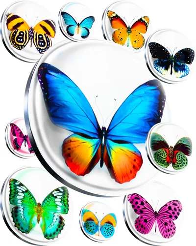 Miniatura 19 de Imanes de cristal súper lindos – Juego de multipack decorativo con agarre fuerte – Ideal para nevera, taquillas, fotos y notas Lindo dinosaurio
