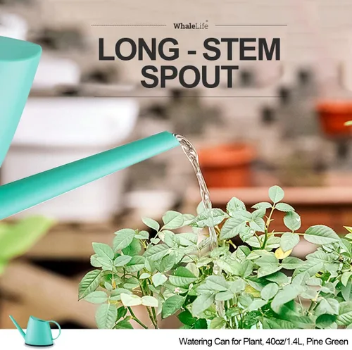 Miniatura 4 de WhaleLife Regadera interior para plantas de bonsái de casa (1.4L, verde pino)