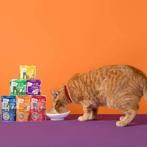 Miniatura 9 de Weruva Gatos en la Cocina, 1 si es por tierra, 2 si es por mar con atún, ternera y salmón en salsa, comida para gatos, 3 onzas, sobre (paquete de 12)