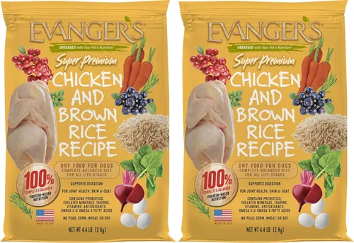 Miniatura 16 de Evanger's Pollo sin granos con batata y calabaza alimento seco para perros – 4.4 libras – Pollo fresco deshuesado, probióticos, omegas 3 y 6, sin