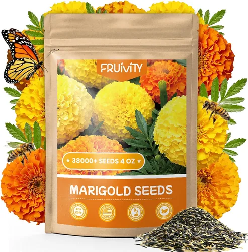 Tri-Color French Marigold Seeds for Planting – 4OZ 38,000+ Open-Pollinated Flower Seeds to Plant, High Germination Rate, Fast Blooming for Gardens,