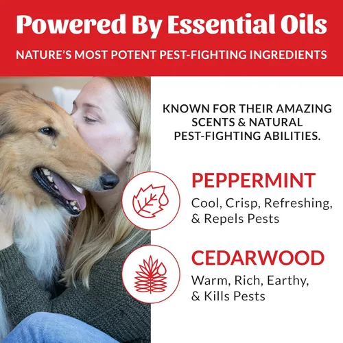 Miniatura 6 de Skout's Honor Champú para pulgas y garrapatas para perros, fórmula natural de menta y madera de cedro, ayuda a proteger de y contra pulgas