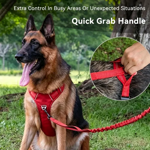 Miniatura 7 de Arnés para perro sin tirones, chaleco ajustable con clips de correa de metal delanteros y traseros, reflectante para paseos nocturnos seguros