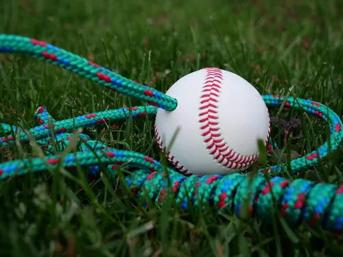 Miniatura 4 de El sistema de entrenamiento de bateo ajustable de béisbol original de cuerda de bateo – combina la camiseta y el lanzamiento frontal en un solo
