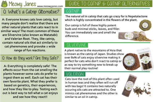 Miniatura 5 de Meowy Janes Catnip - Paquete de polvo variado alternativo de hierba gatera Keef, polvo de vid plateada y polvo de raíz de valeriana en polvo