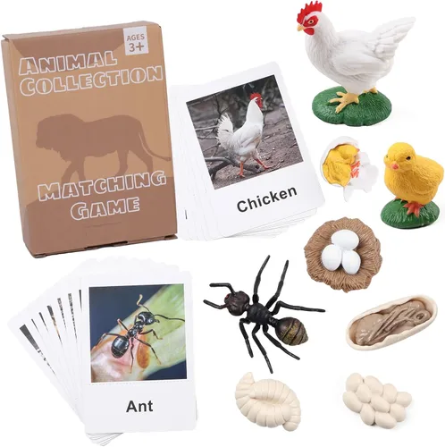 MEROCO Juguetes de ciclo de vida de pollo para niños, insectos, hormigas, insectos, juguetes para niños de 3 a 5 años, tarjetas de animales con